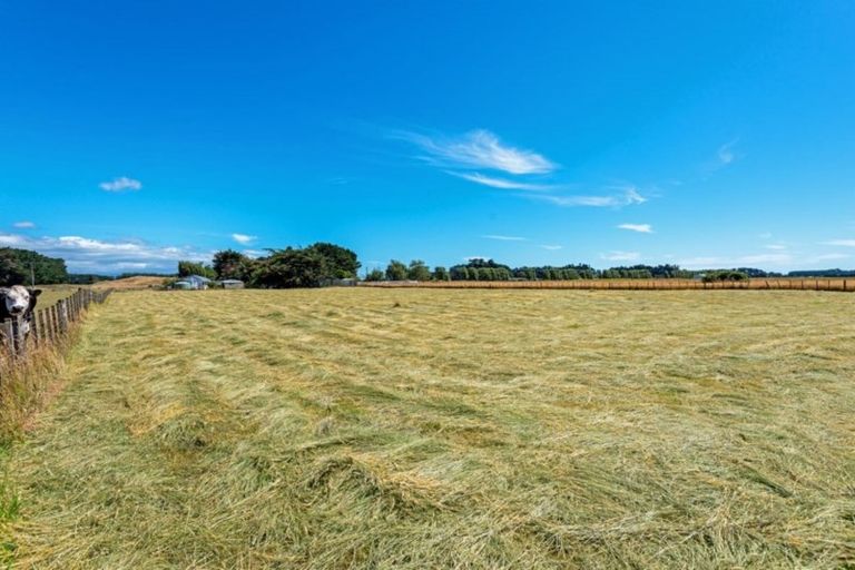 Photo of property in 409 Foxton Shannon Road, Foxton, 4893