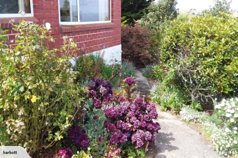 Photo of property in 5 Bone Street, Shiel Hill, Dunedin, 9013