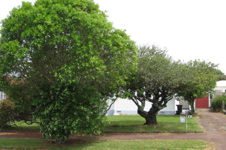 Photo of property in 51 Fifth Avenue, Mount Albert, Auckland, 1025