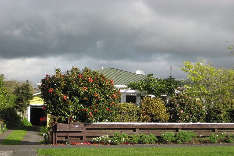 Photo of property in 239 Omata Road, Spotswood, New Plymouth, 4310