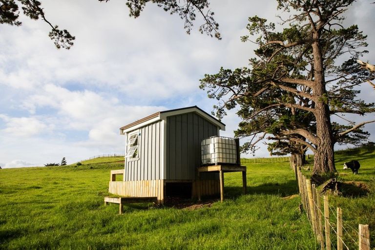 Photo of property in 307 Dill Road, Kaipara Flats, Warkworth, 0984