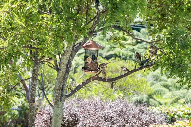 Photo of property in 85 Normandale Road, Normandale, Lower Hutt, 5010