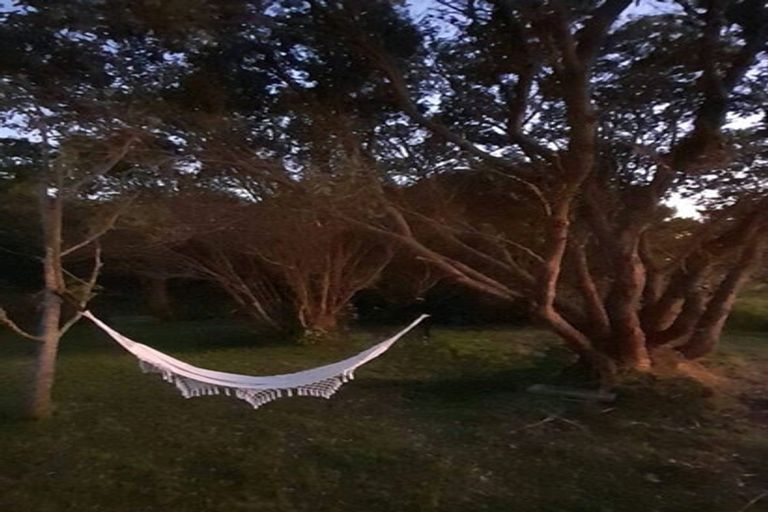 Photo of property in 241 Jobe Road, Maungakaramea, Whangarei, 0178