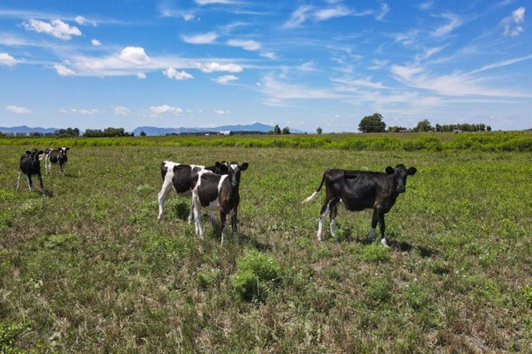 Photo of property in Kaihere Road, Kaihere, Ngatea, 3597