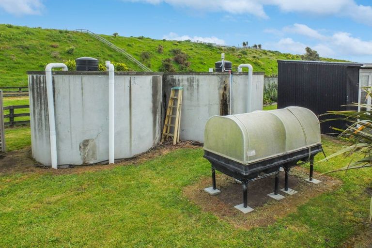 Photo of property in 125 Hickford Road, Foxton, 4893