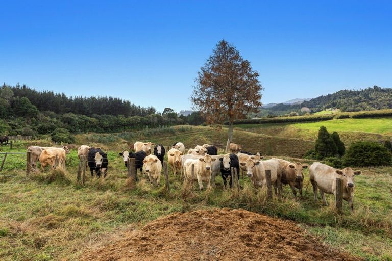 Photo of property in 1207c Stanley Road, Waimana, 3198