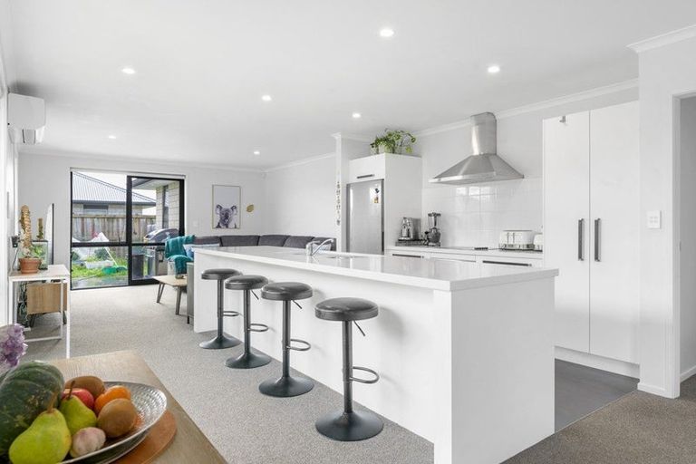 Photo of property in 19 Briannarose Drive, Fitzroy, Hamilton, 3206