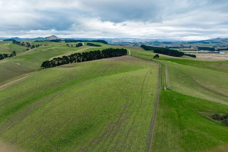 Photo of property in 53 Bushey Park Road, Bushey, Palmerston, 9482