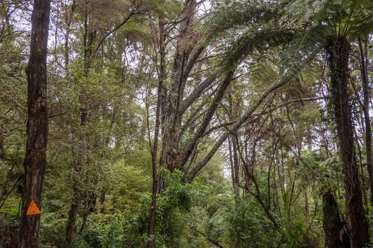 Photo of property in 58 Hinemoa Terrace, Tairua, 3508