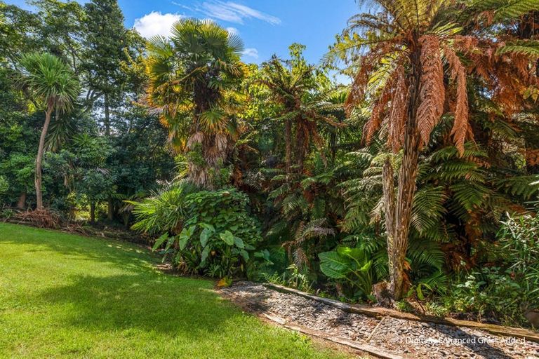 Photo of property in 55 Hillcrest Road, Whakatane, 3120