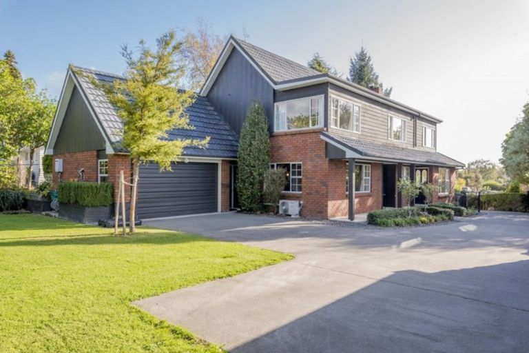 Photo of property in 19 Stuart Street, Levin, 5510