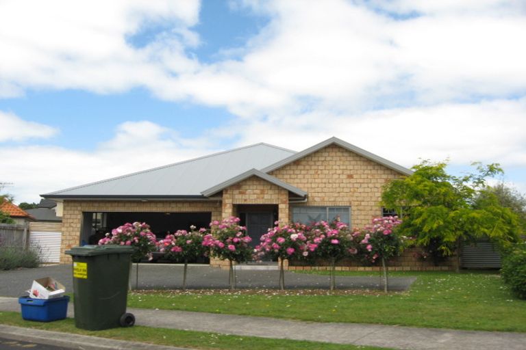 Photo of property in 6 Avonbrook Lane, Pukekohe, 2120