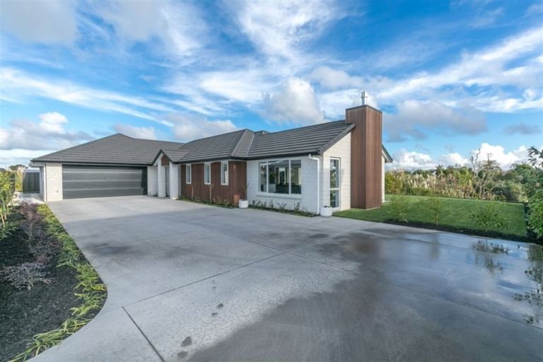 Photo of property in 10 Audrey Place, Flagstaff, Hamilton, 3210