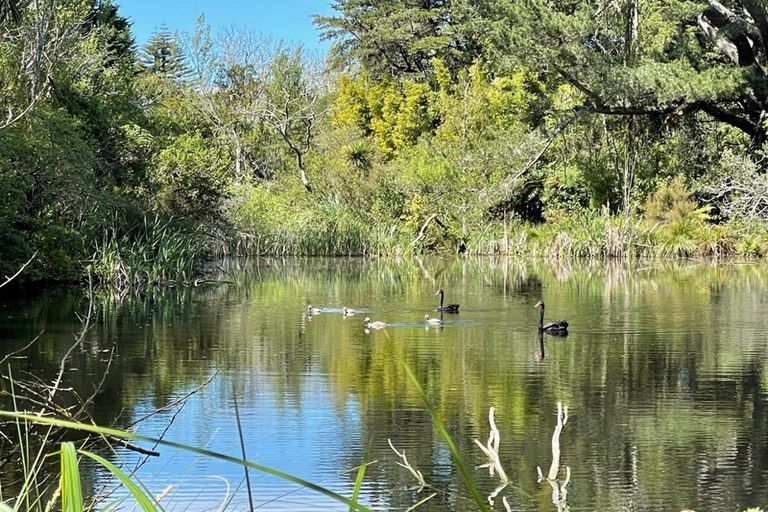 Photo of property in 47 Te Whanga Road, Levin, 5572