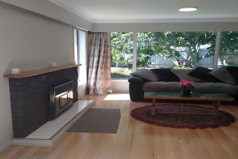 Photo of property in 318 Maungatapu Road, Maungatapu, Tauranga, 3112