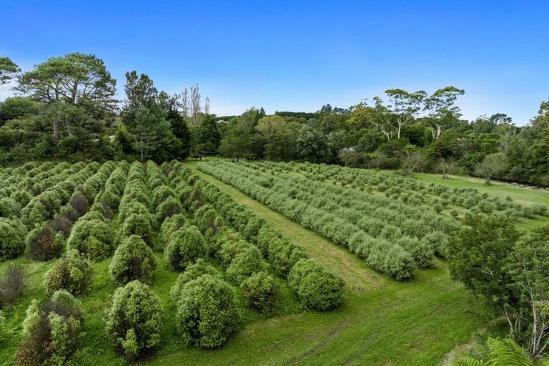 Photo of property in 40 Killen Road, Tahawai, Katikati, 3178