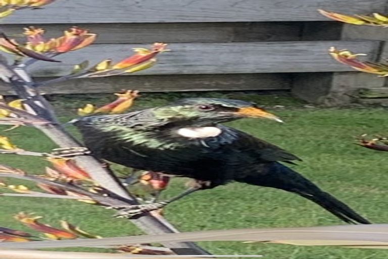 Photo of property in 54 Acacia Bay Road, Nukuhau, Taupo, 3330