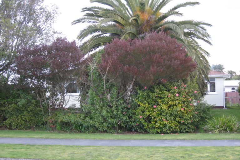 Photo of property in 38 Jellicoe Street, Greytown, 5712