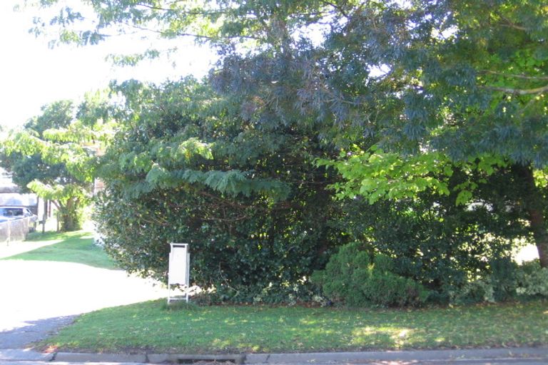 Photo of property in 125 Arapuni Street, Putaruru, 3411