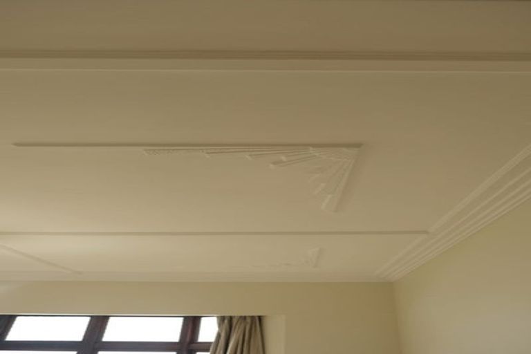 Photo of property in 6 Kilgour Street, Roslyn, Dunedin, 9010