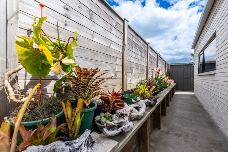 Photo of property in 7 Stevie Lane, Omokoroa, 3114