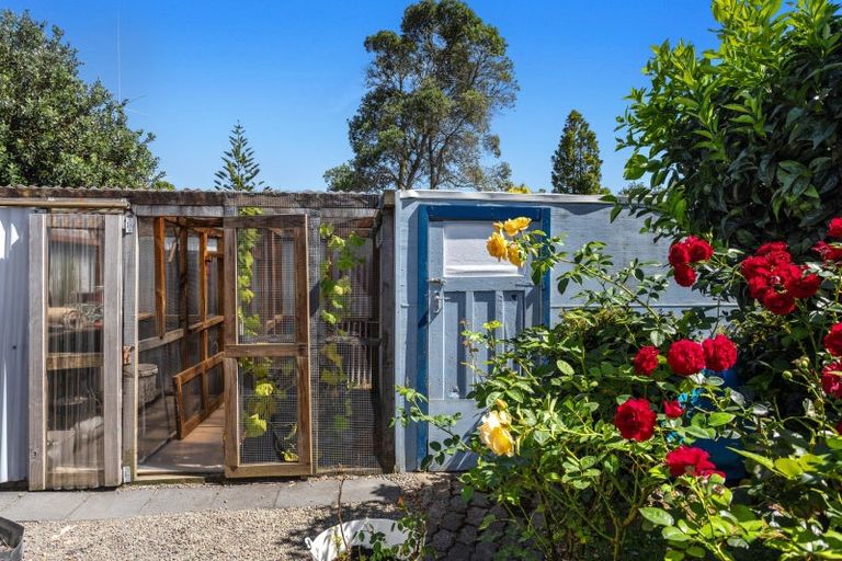 Photo of property in 14 Hydro Road, Edgecumbe, 3120