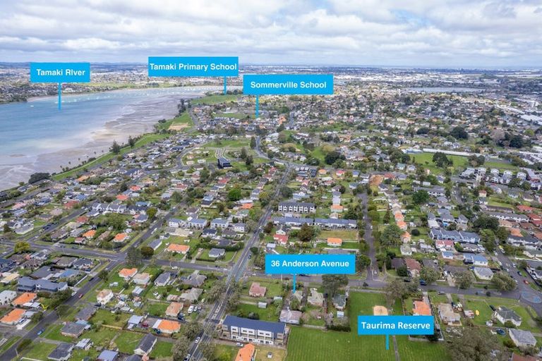 Photo of property in 36 Anderson Avenue, Point England, Auckland, 1072