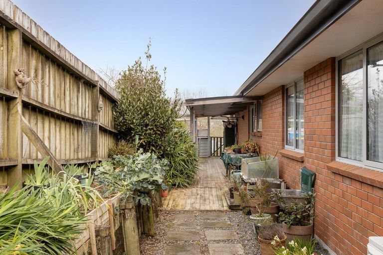 Photo of property in 5 Olive Close, Omokoroa, 3114