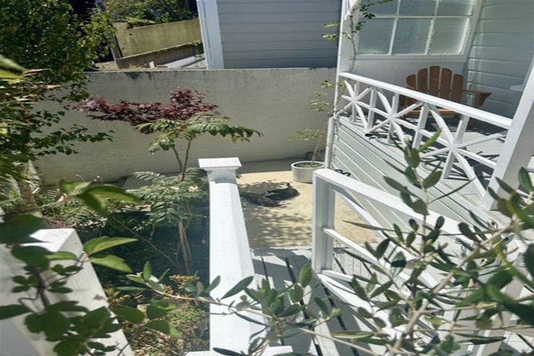 Photo of property in 6 Jeypore Street, Berhampore, Wellington, 6023