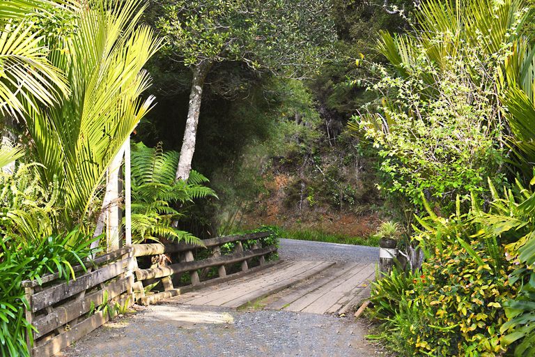 Photo of property in 58 Birdsall Road, Whangateau, Warkworth, 0985