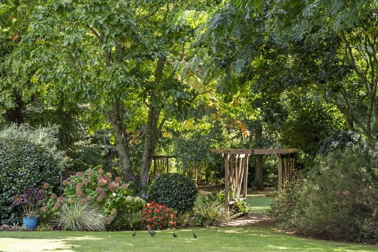 Photo of property in 8 Herbert Drive, Whangamata, 3620