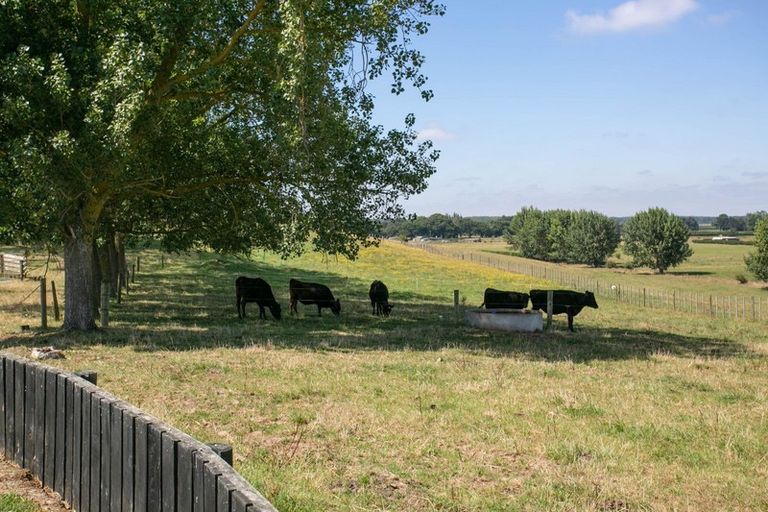 Photo of property in 87 Te Hoe Road, Orini, Taupiri, 3792