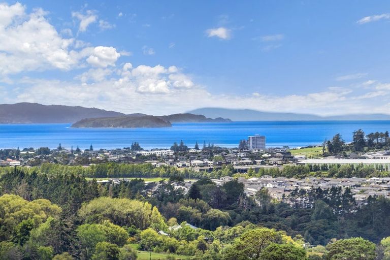 Photo of property in 202 Kahikatea Flat Road, Dairy Flat, Albany, 0794