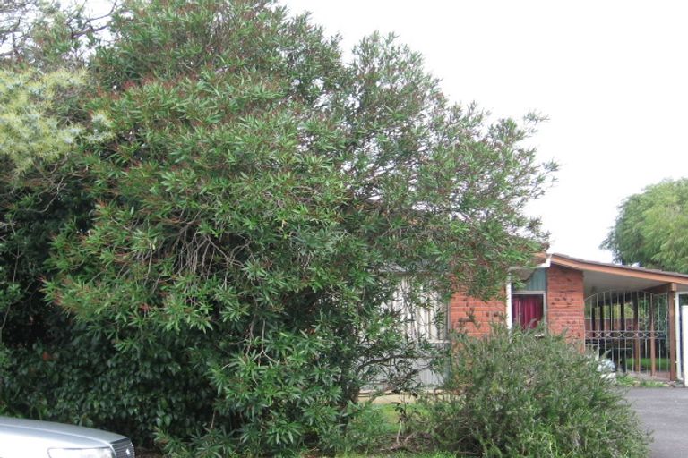 Photo of property in 9 Ti Nana Crescent, Henderson, Auckland, 0610