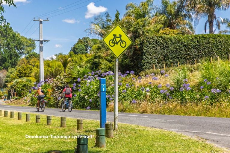 Photo of property in 274 Plummers Point Road, Whakamarama, Tauranga, 3172