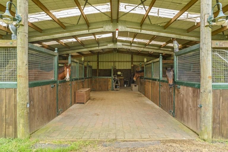 Photo of property in 274 Hot Springs Road, Tahawai, Katikati, 3178