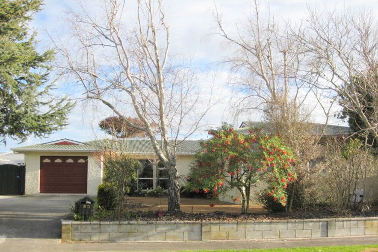 Photo of property in 60 Meadowvale Drive, Levin, 5510