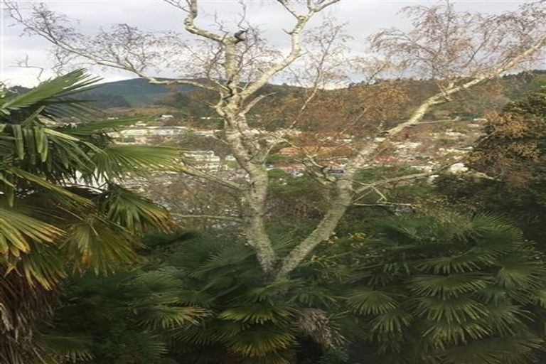 Photo of property in 19 Mount Street, Nelson South, Nelson, 7010