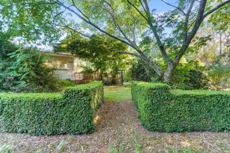 Photo of property in 664 State Highway 2, Tahawai, Katikati, 3170