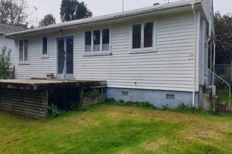 Photo of property in 24 Hinau Street, New Lynn, Auckland, 0600