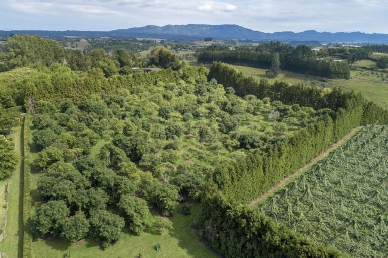 Photo of property in 109a Plummer Road, Whakamarama, Tauranga, 3179