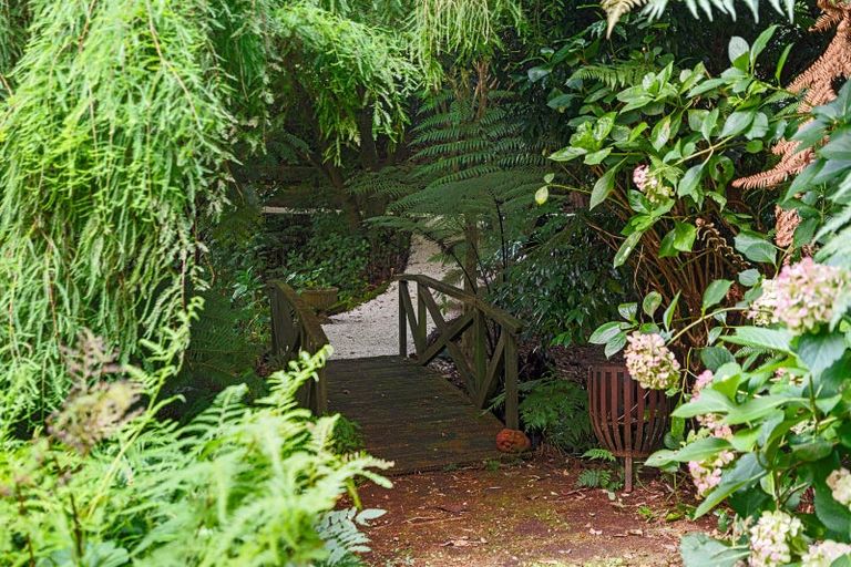 Photo of property in 38 Revell Drive, Ohauiti, Tauranga, 3112