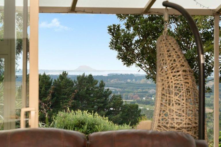 Photo of property in 329 Hot Springs Road, Tahawai, Katikati, 3178