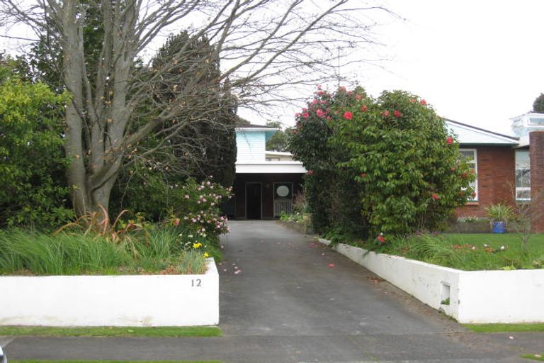 Photo of property in 12 Stuart Street, Levin, 5510