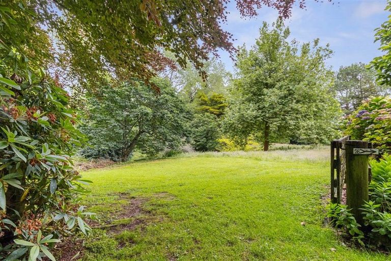 Photo of property in 488 Tapuwae Road, Maniaiti / Benneydale, Te Kuiti, 3987