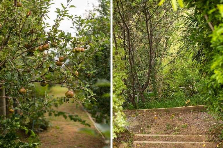 Photo of property in 137a Wainui Road South, Whakamarama, Katikati, 3181