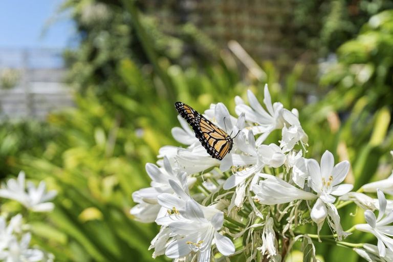 Photo of property in 2/12 Ambury Place, Merrilands, New Plymouth, 4312