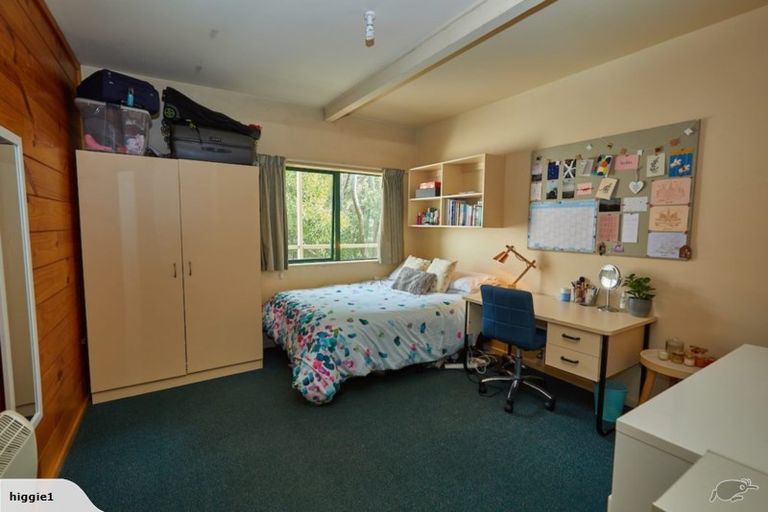 Photo of property in Te Awhina Apartments, 1/22 Sussex Street, Mount Cook, Wellington, 6021