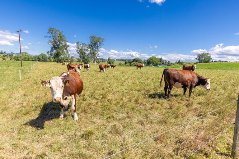 Photo of property in 848 Bayley Road, Wharepuhunga, Te Awamutu, 3873