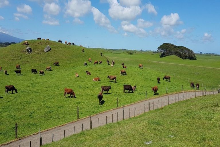 Photo of property in 396 Cape Road, Pungarehu, Opunake, 4685